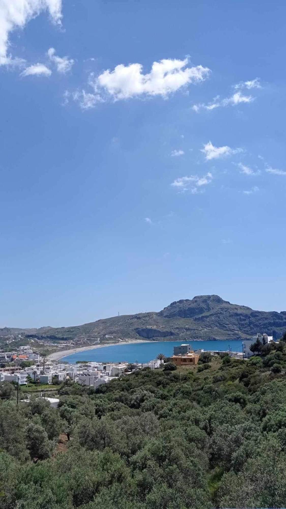 Olive Grove Apartment Plakias Exterior photo