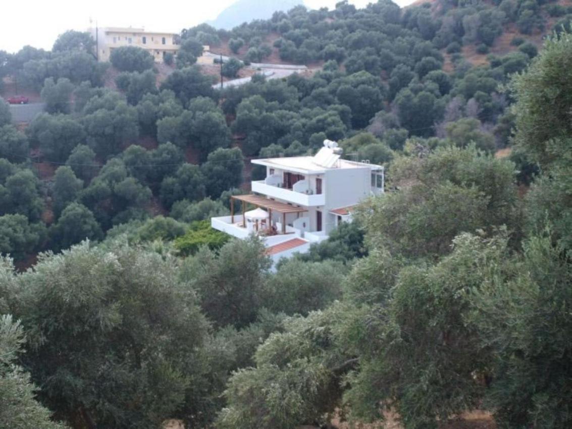 Olive Grove Apartment Plakias Exterior photo